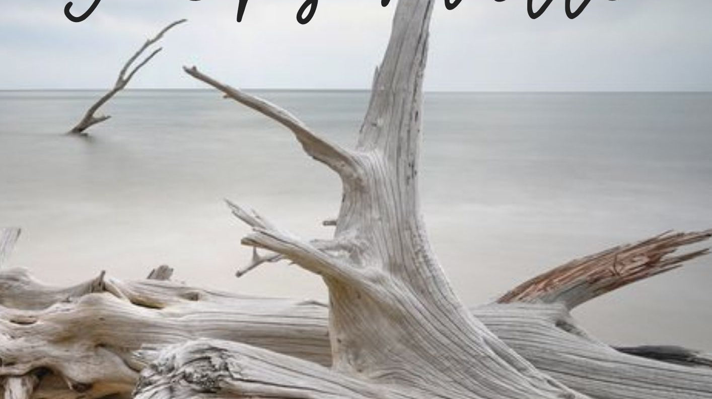 Fun Day Trips from Jacksonville