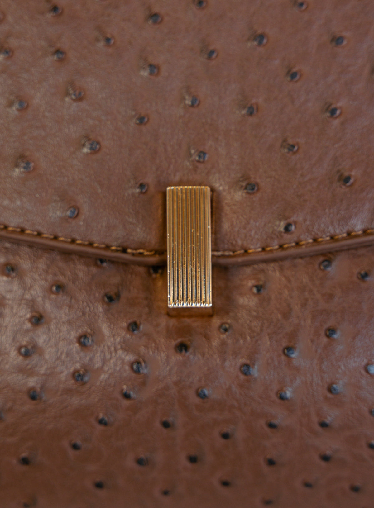 Beatrice Satchel, a brown ostrich-embossed top-handle bag with a gold bar clasp