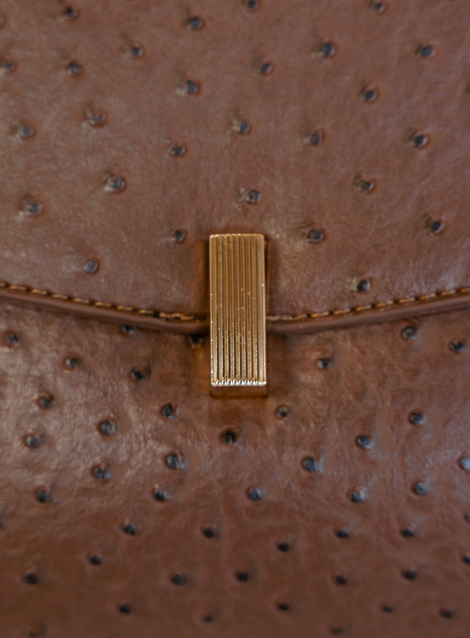 Beatrice Satchel, a brown ostrich-embossed top-handle bag with a gold bar clasp